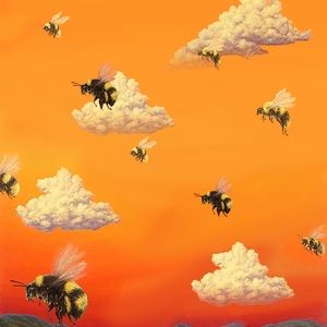 Meet your Posher, Ethan